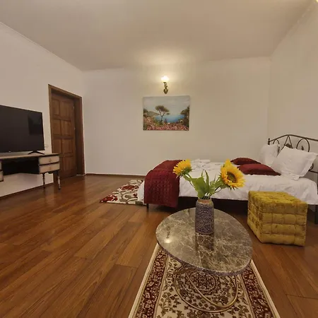 Villa 5* Royal House Near Unirii Square