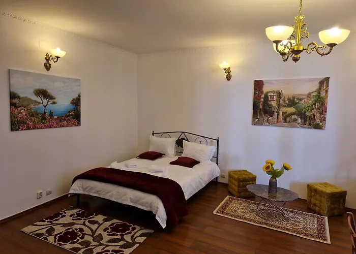 5* Royal House Near Unirii Square * 克卢日-纳波卡