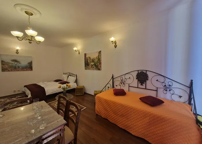 5* Royal House Near Unirii Square 别墅 克卢日-纳波卡